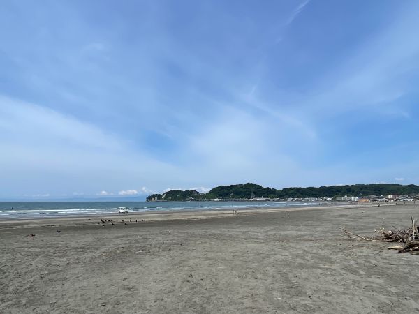 メディア